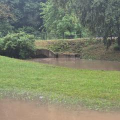 „Alytaus naujienų“ nuotrauka