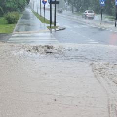 Liūtis Alytuje. Skaitytojos Gražinos L. nuotr.