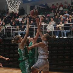 Sirgaliai.  F. Augustino nuotr.