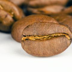 pupelės