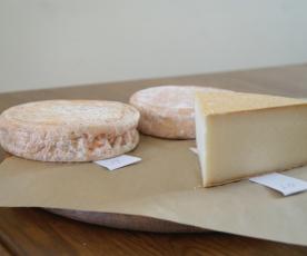 Sūrių festivalis