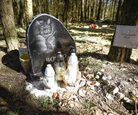 Sunu ir kaciu kapaviete