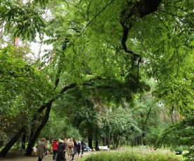 Žalioji oazė ir Dzūkijos sostinės simbolis – Alytaus miesto sodas. Zitos STANKEVIČIENĖS nuotr.
