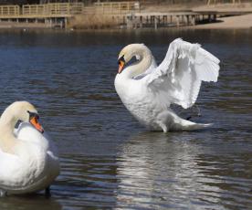 Zi­tos Stan­ke­vi­čie­nės nuotr. 