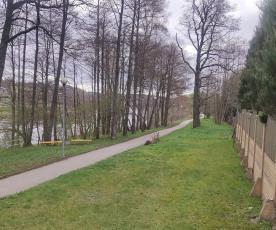 Saulės Pinkevičienės nuotr.