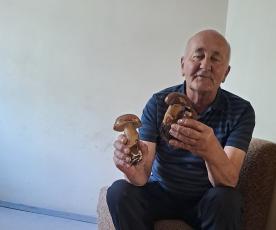 Min­dau­gas Ba­jer­čius