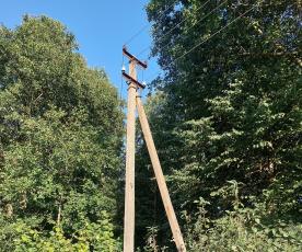 elektra