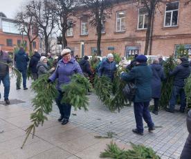 šakų dalybos