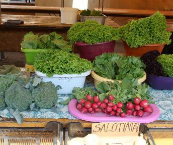 Skaniosios salotos Jazminų turgavietėje