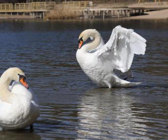 Zi­tos Stan­ke­vi­čie­nės nuotr. 