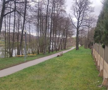 Saulės Pinkevičienės nuotr.